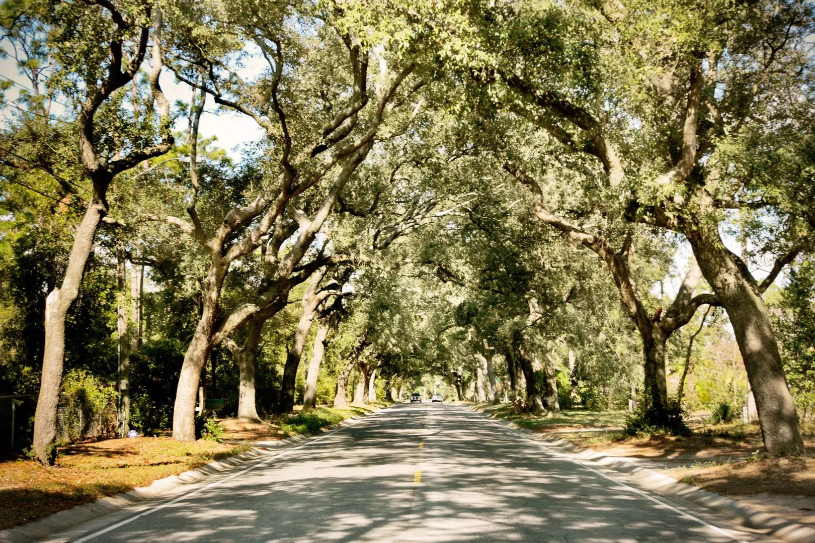 Hampton Inn Pensacola-Airport (Cordova Mall Area)