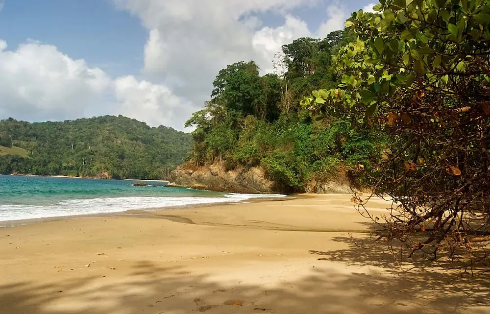 Erasmus Cove Cottages