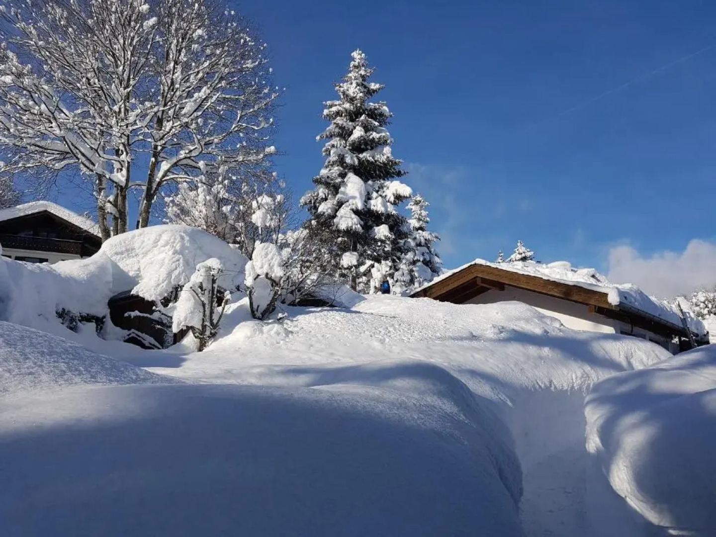Ferienwohnung Soiernblick