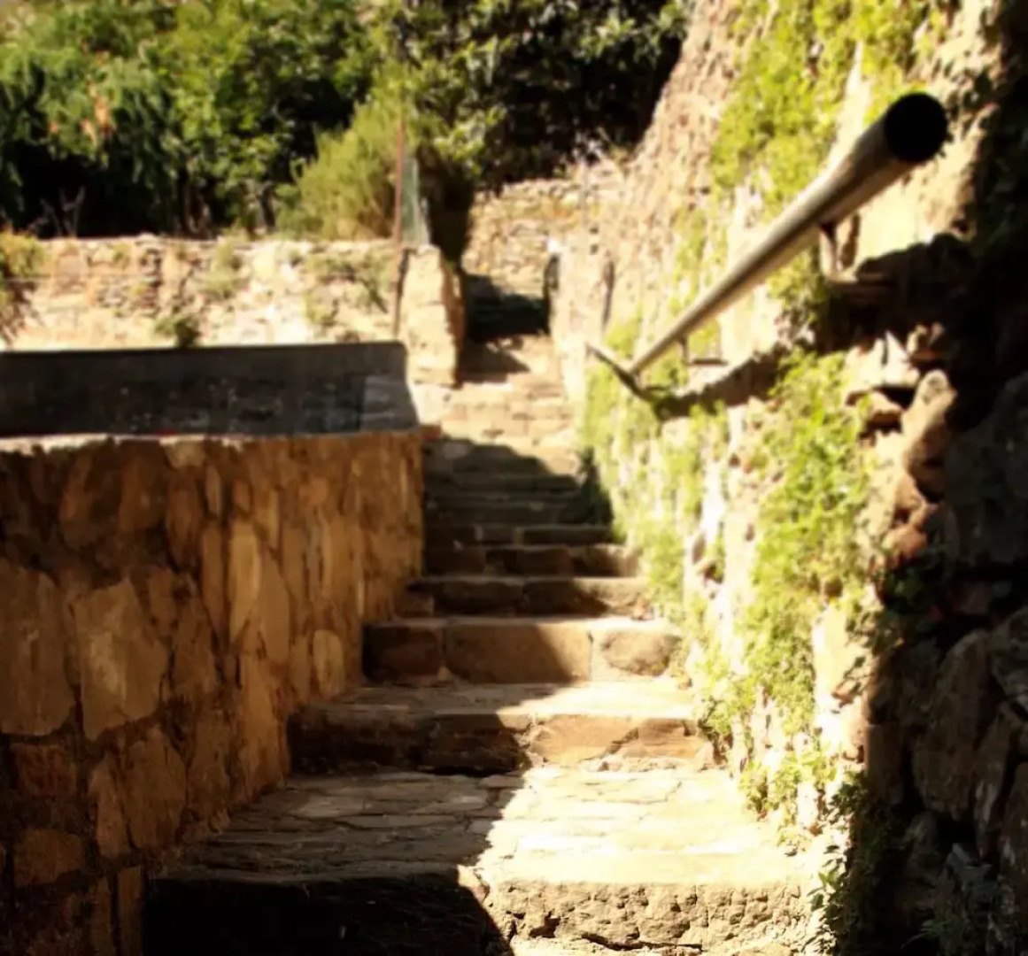 Living History - Palazzo Pretorio