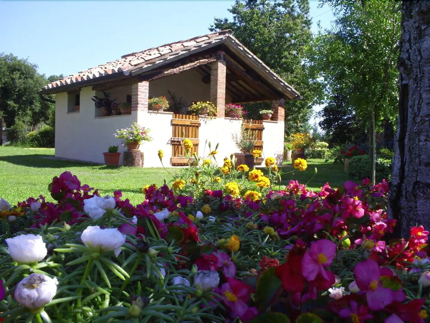 Agriturismo Il Molino della Cagnoletta