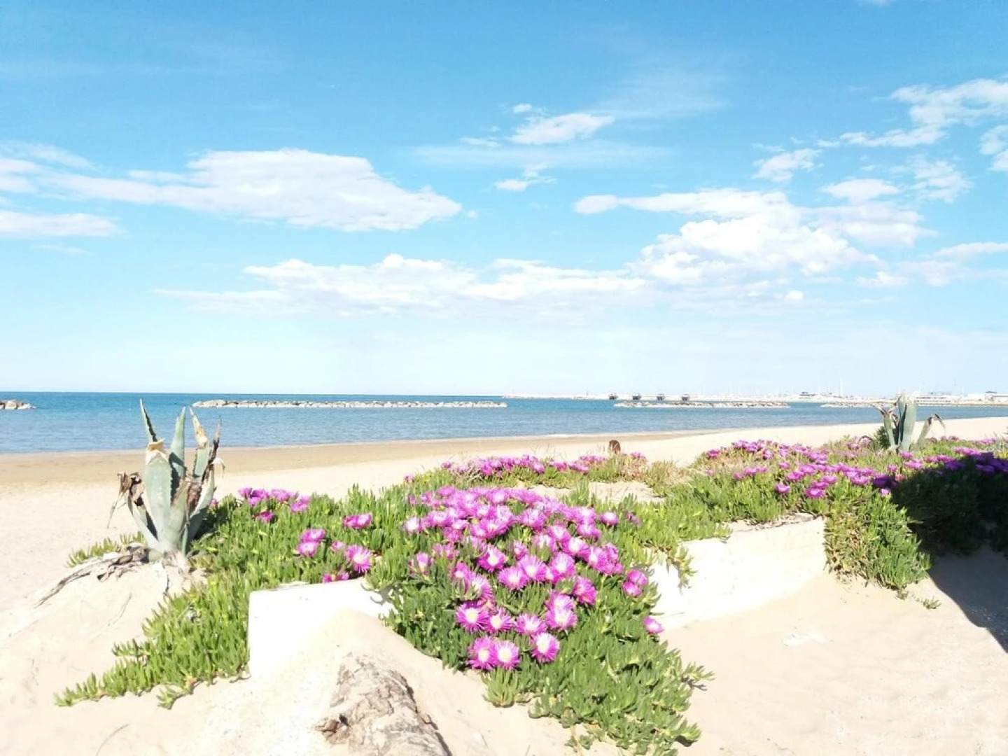 Bed & Breakfast Bigotti