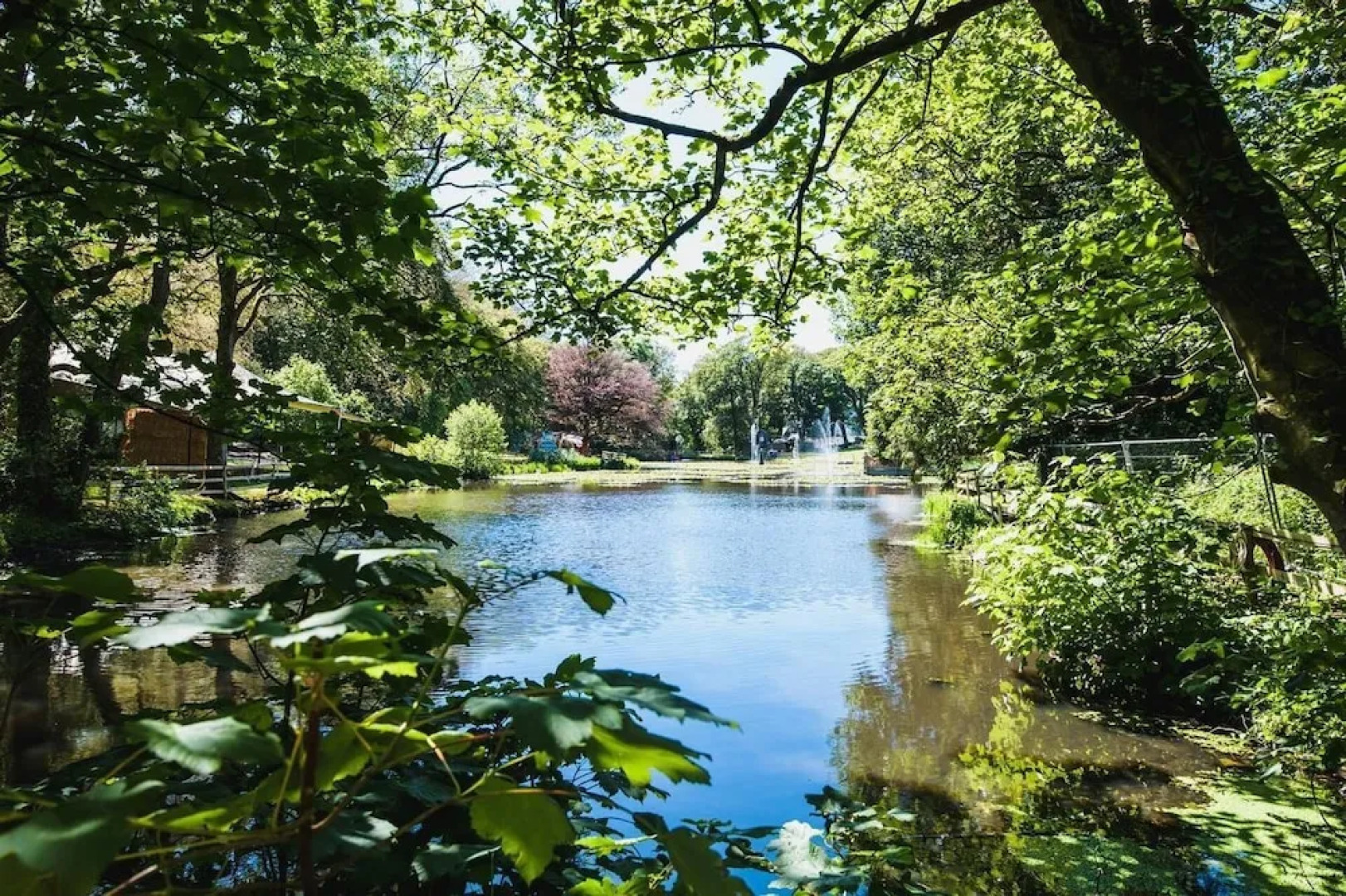 11 'bellatrix' Bell Tent Glamping Anglesey