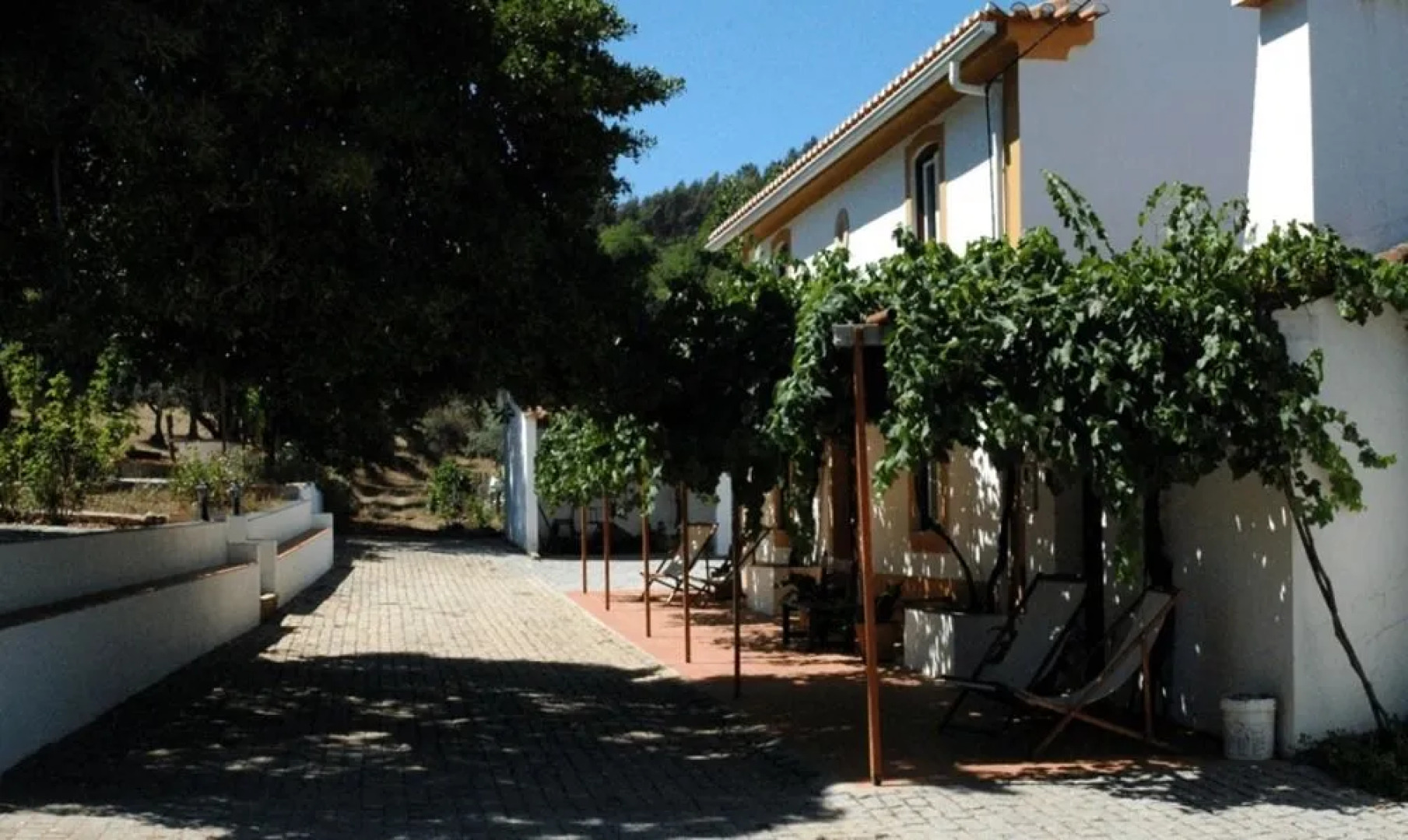 Quinta Do Vaqueirinho - Agro-Turismo