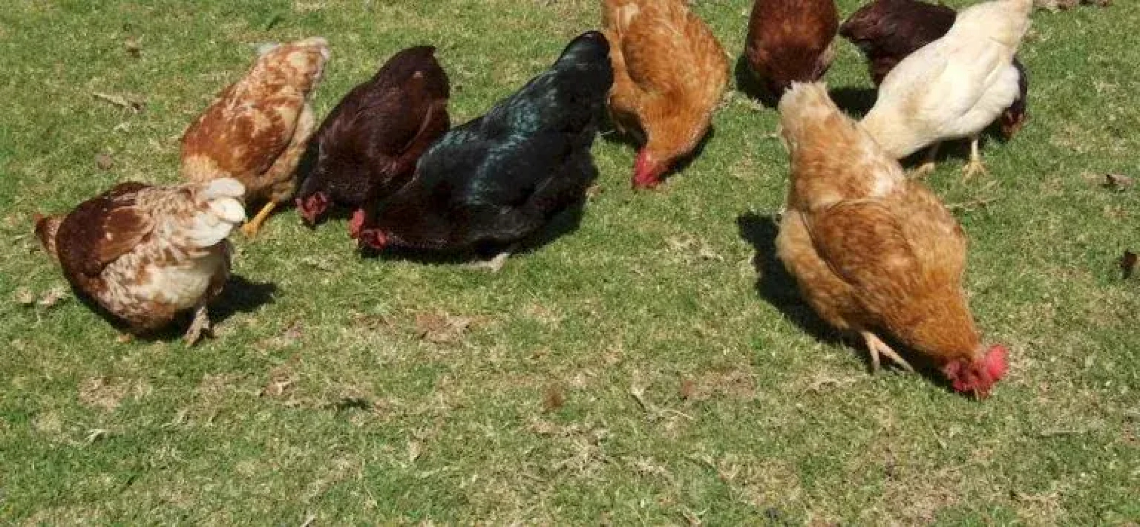 Bulwarra Bed & Breakfast