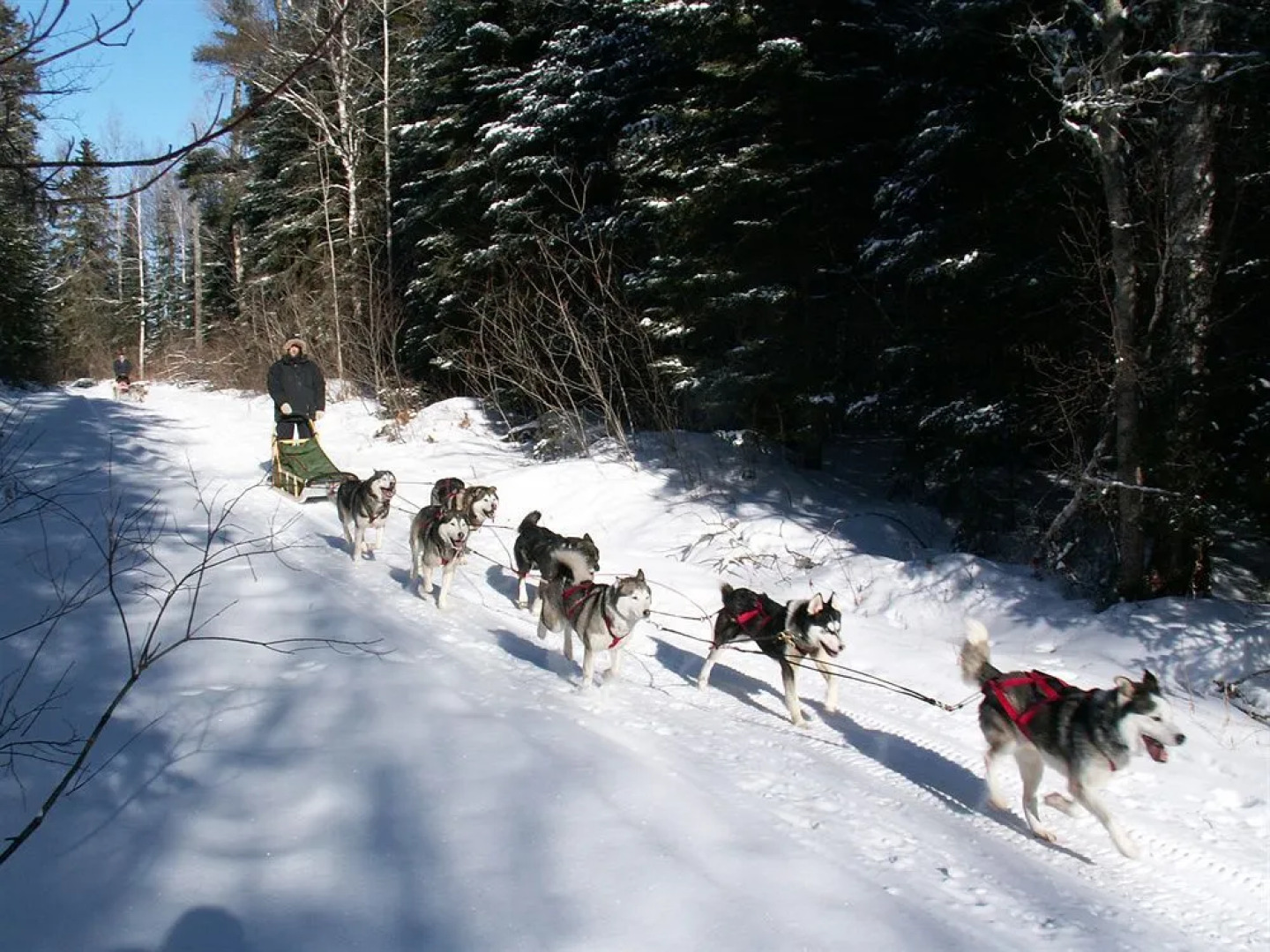 Villégiature Matawinie