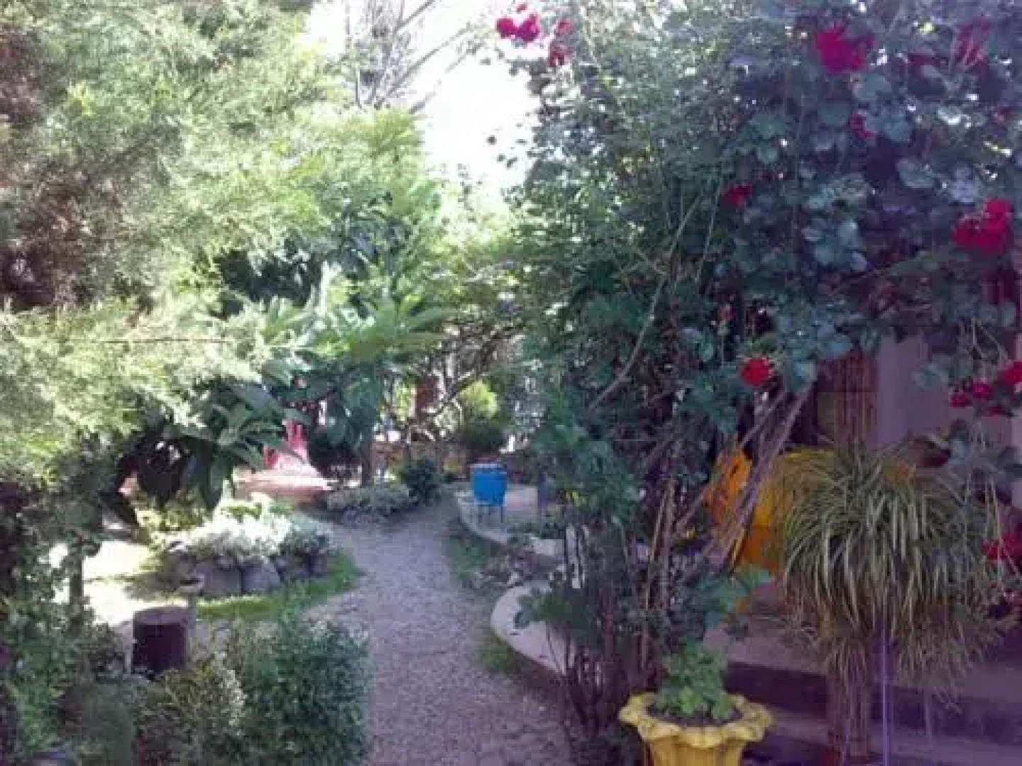 Guest House Paradise Garden