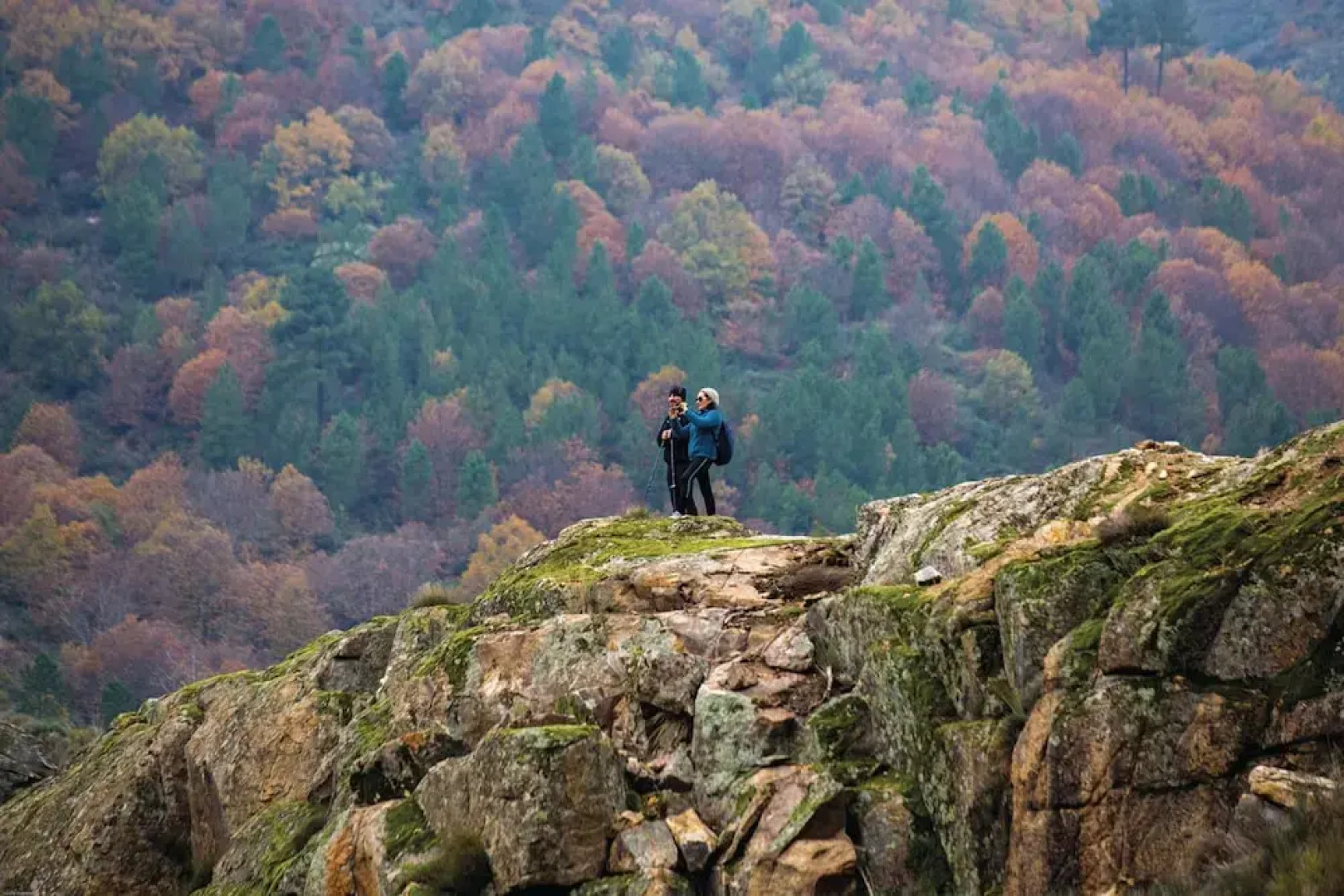 Rustic Terrace2 Bedrooms Farm House