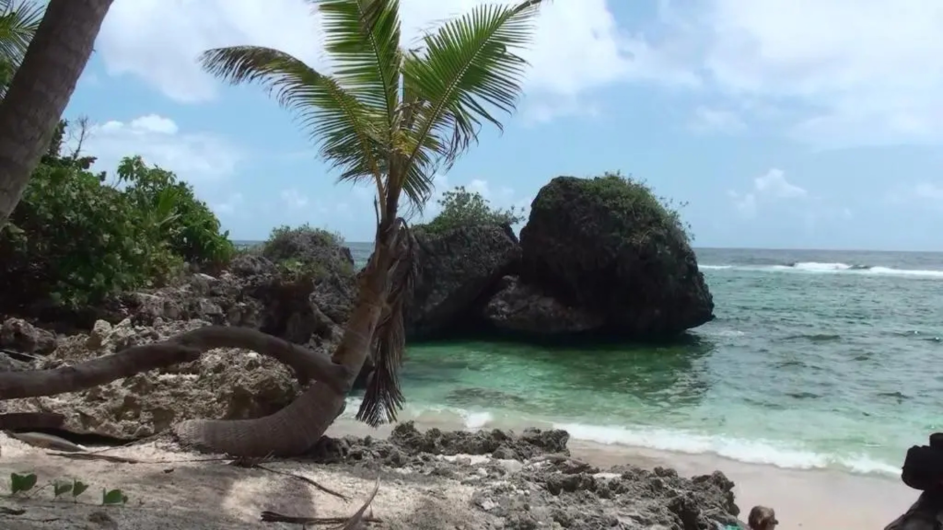 bungalow 3116 vue sur piscine