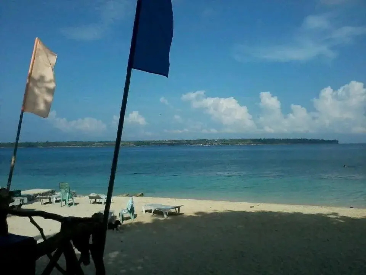 Seahorse Tourist Inn