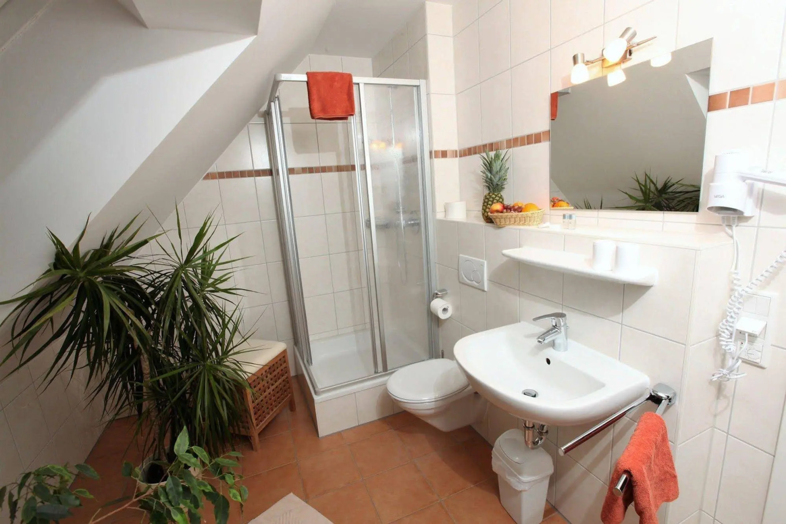 Gasthof-Pension Brauner Hirsch