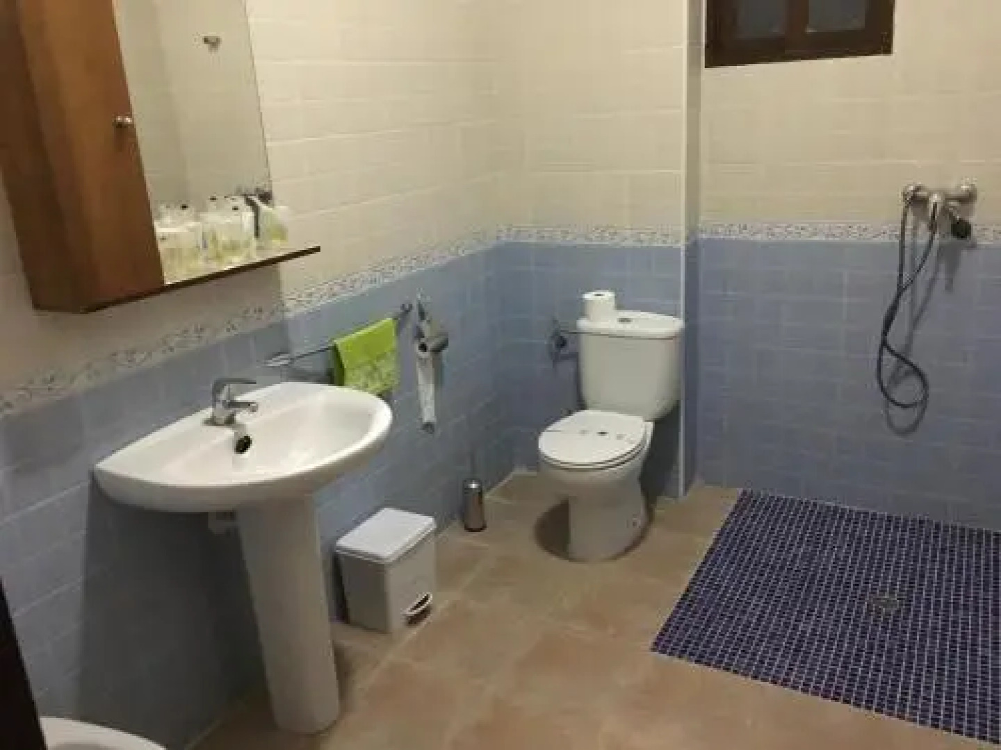 Apartahotel Don Juan-El Olivar de Segura