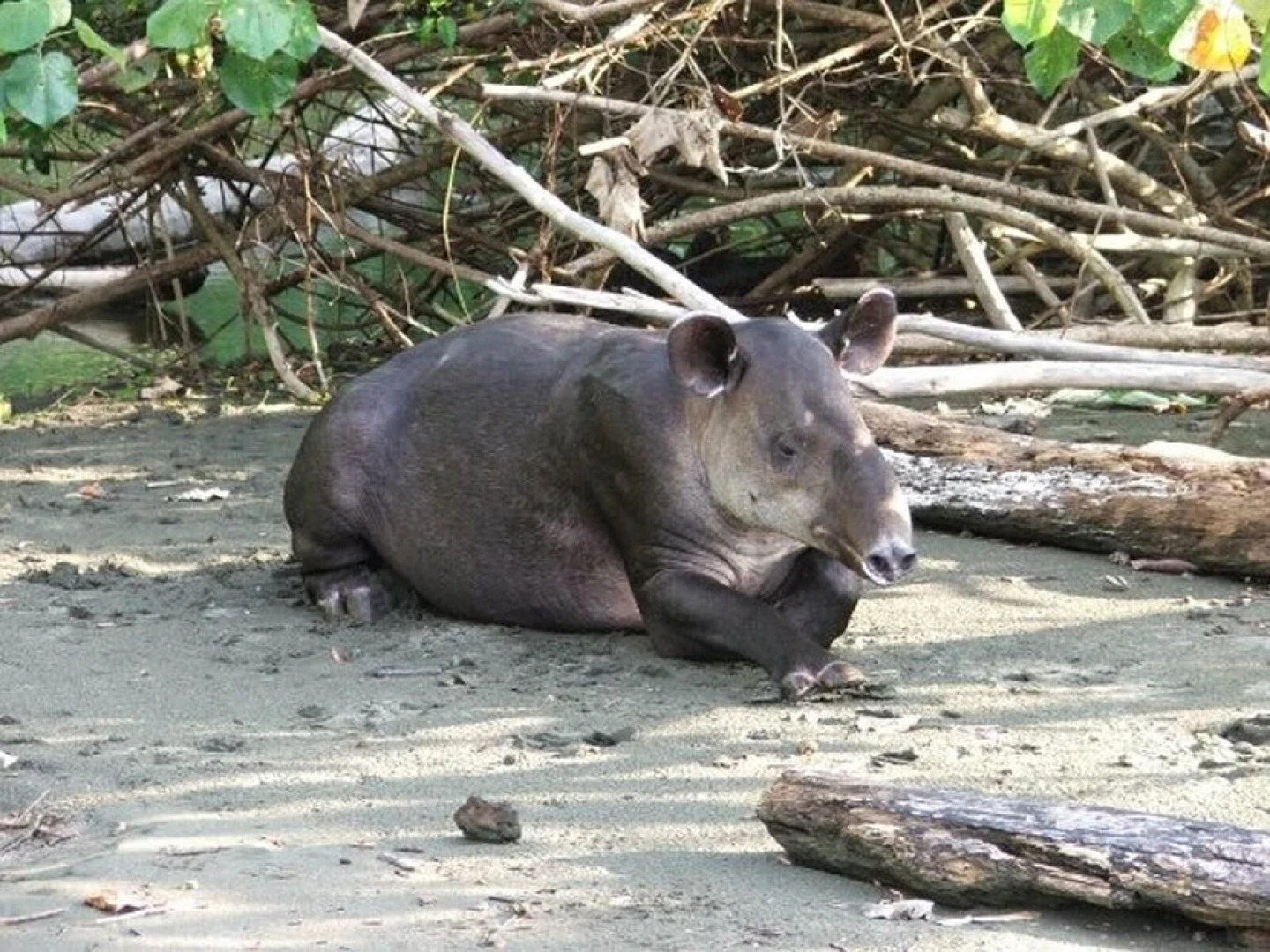 Classy artsy ocean-view unit near pool at Pacifico in Coco sleeps 6