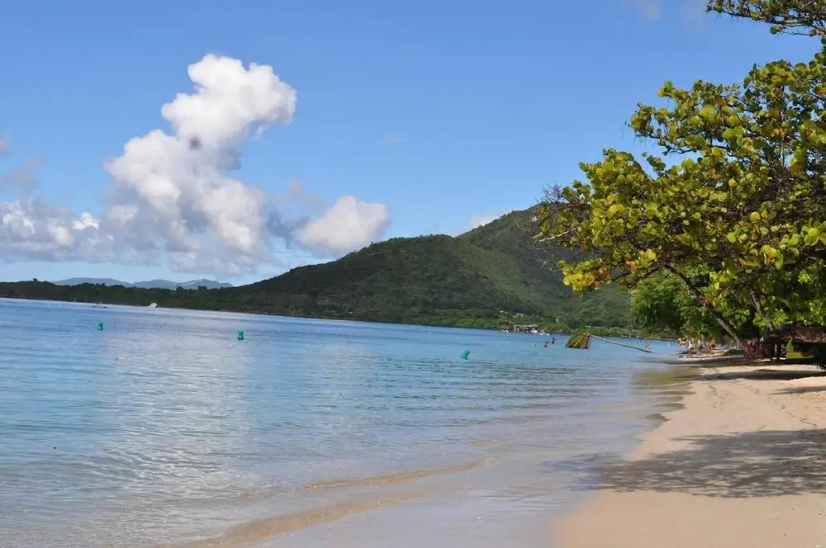 Feels1203 - T1 Duplex