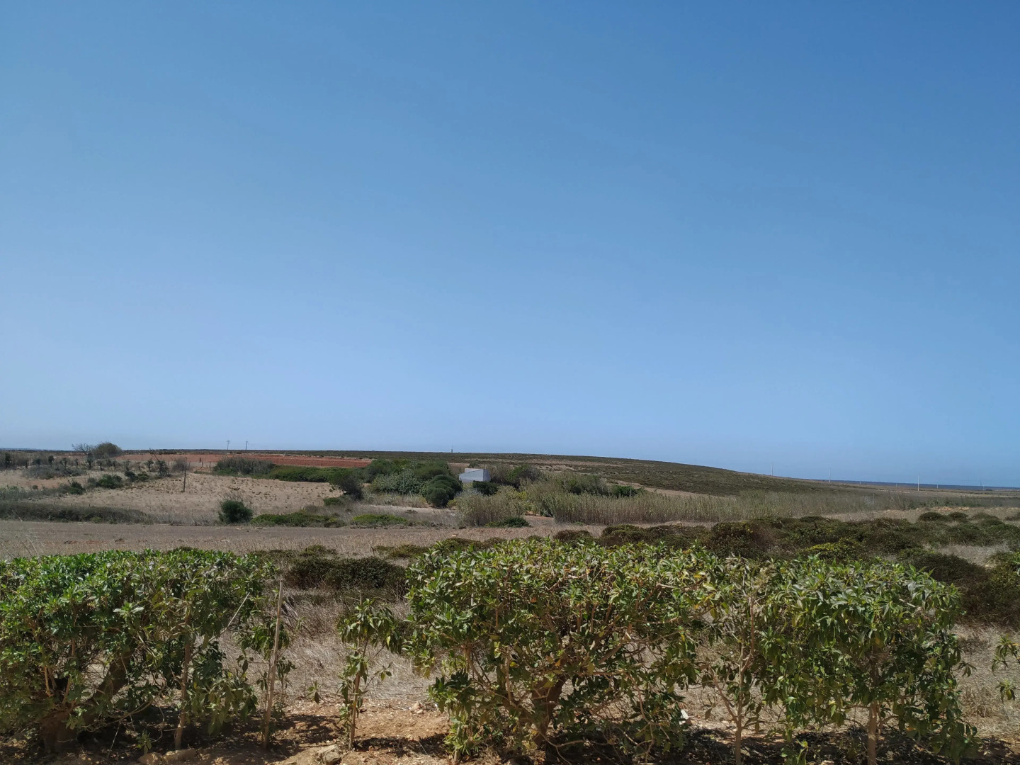 Vivenda Familia Pedro