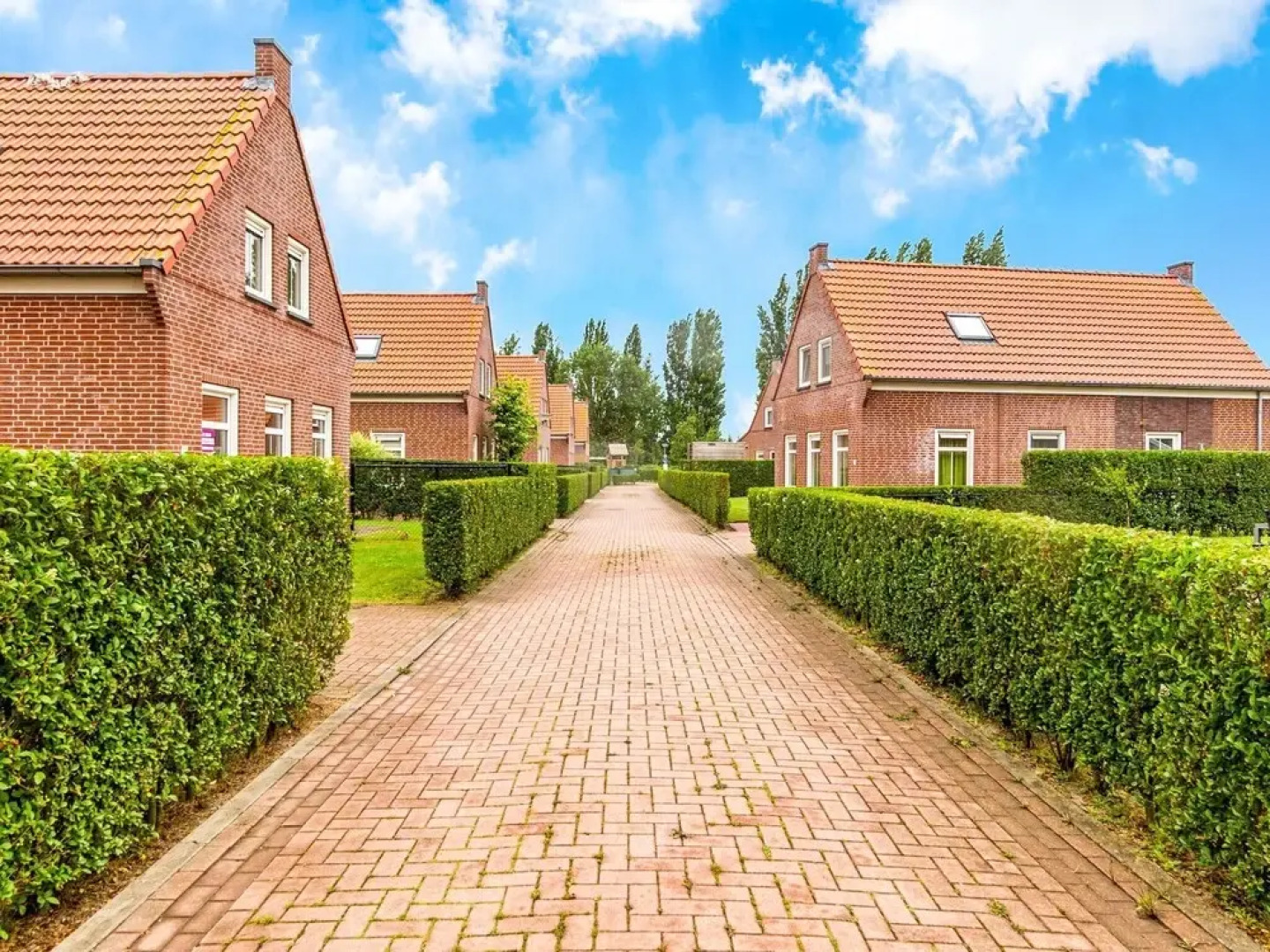 Breskens Haven: Relax, Explore & Dine