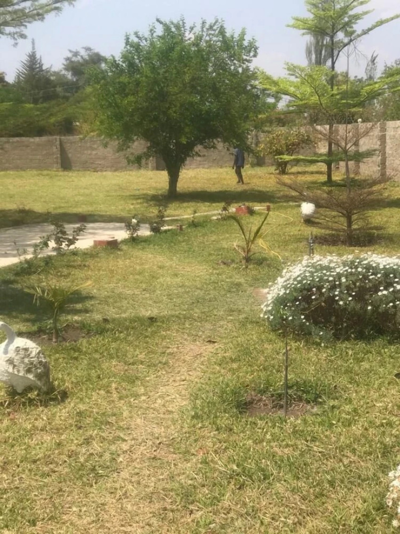 Kavango Dachils Lodges Ext2