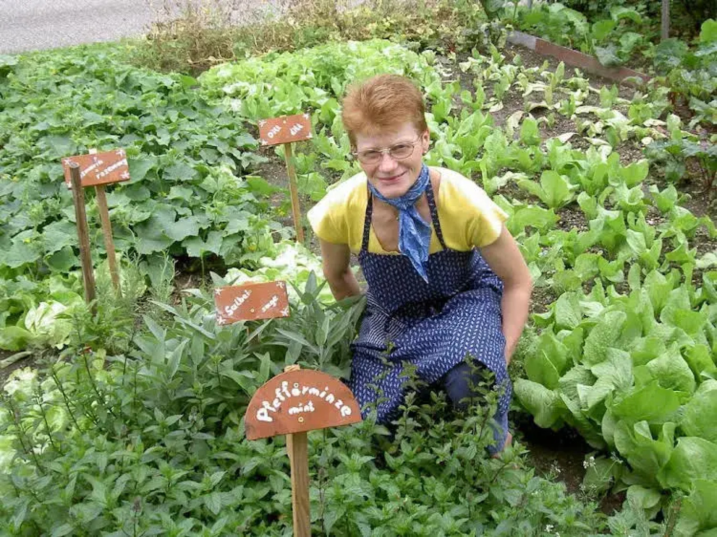 Urlaub am Bauernhof Wenigeder - Familie Klopf
