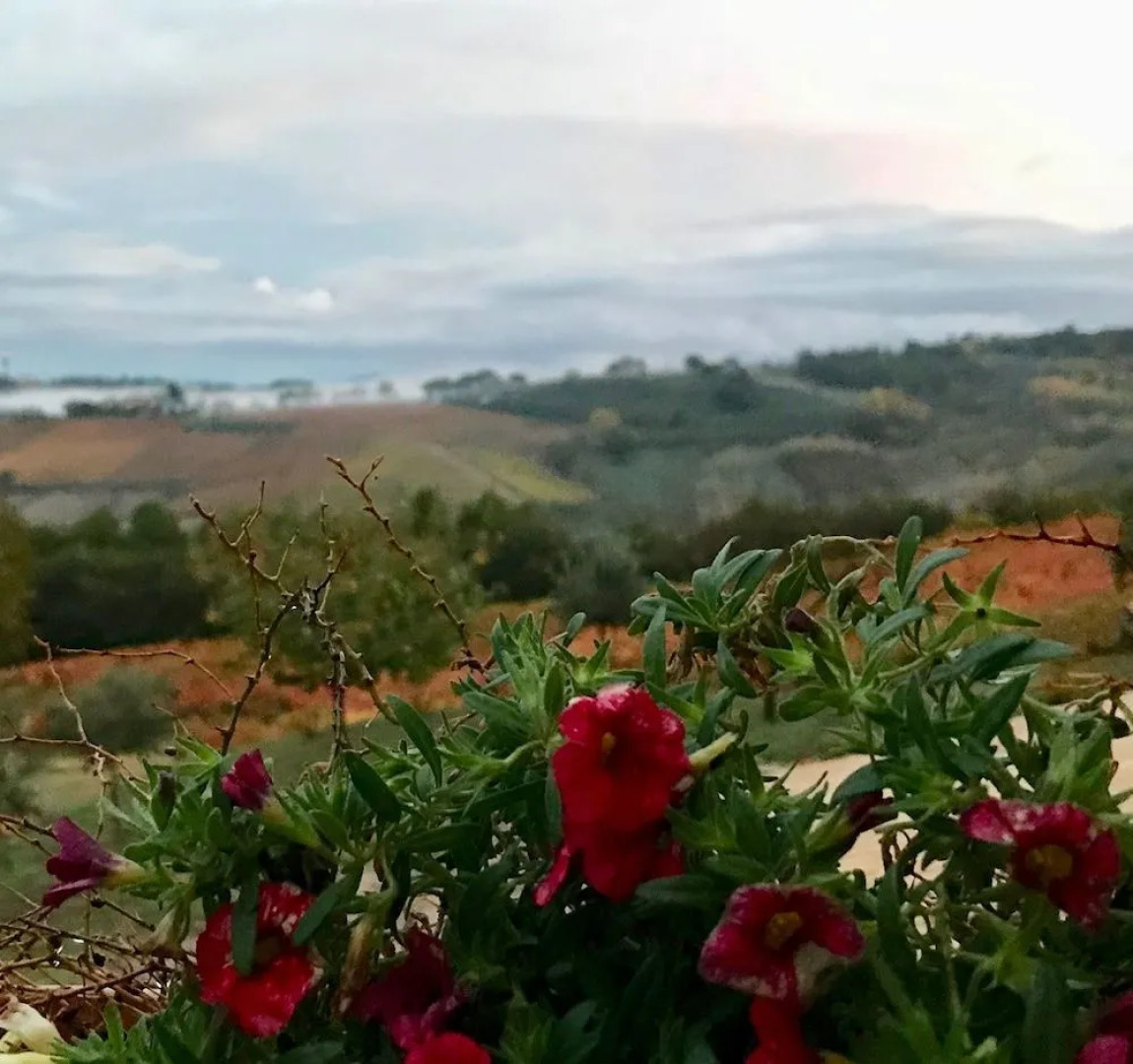 Genius Loci Country Inn