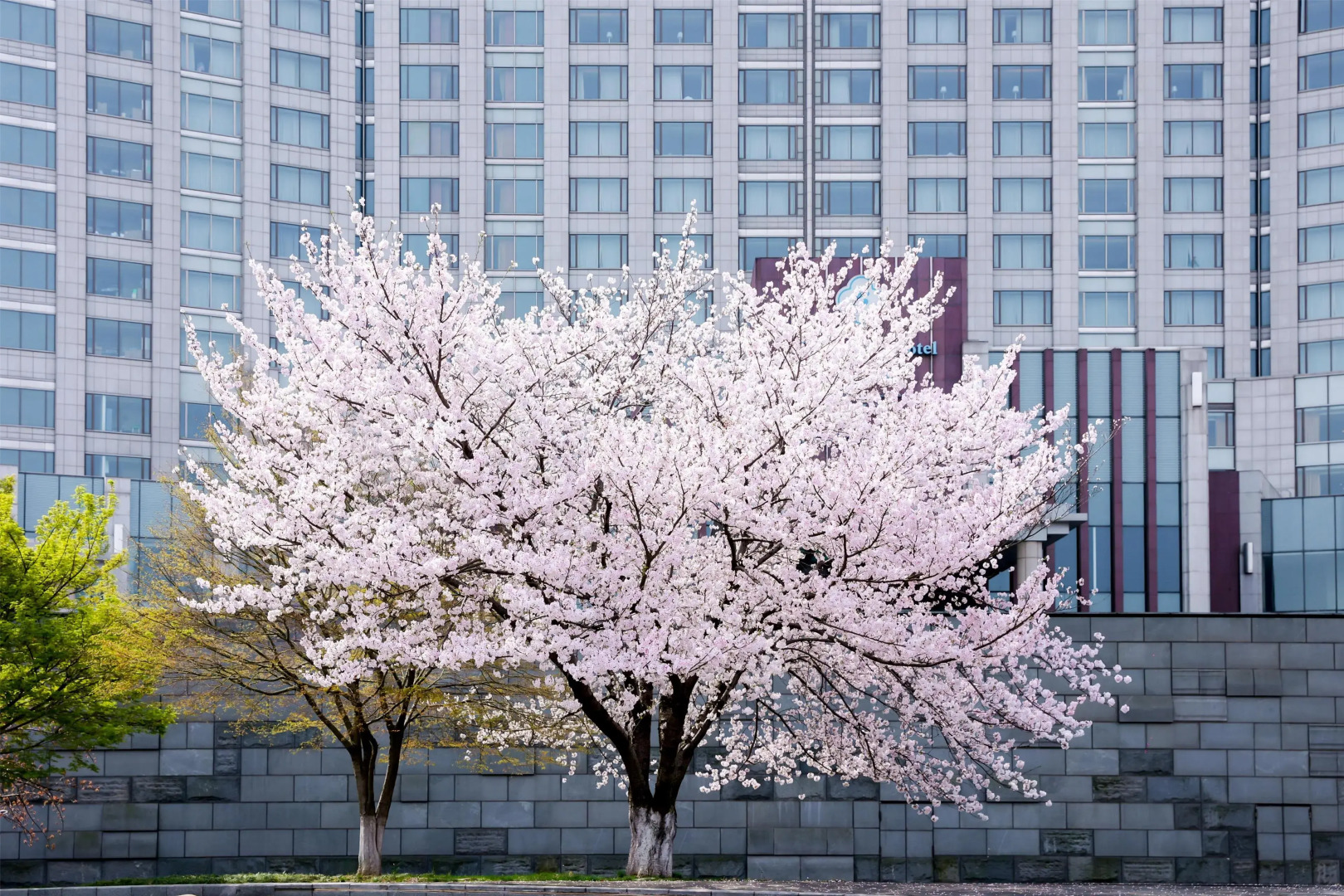 Kempinski Hotel Suzhou