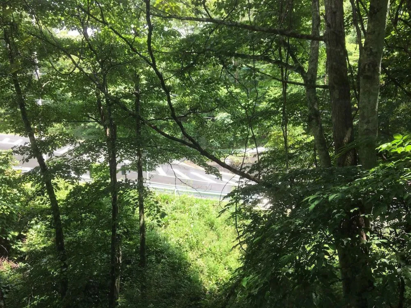 Kiyosato Youth Hostel