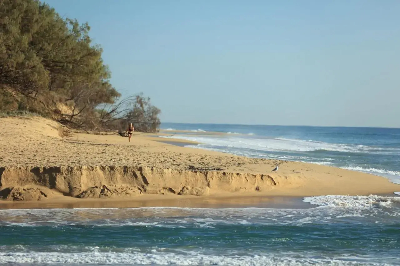 The Outlook U8/9 Hume Parade