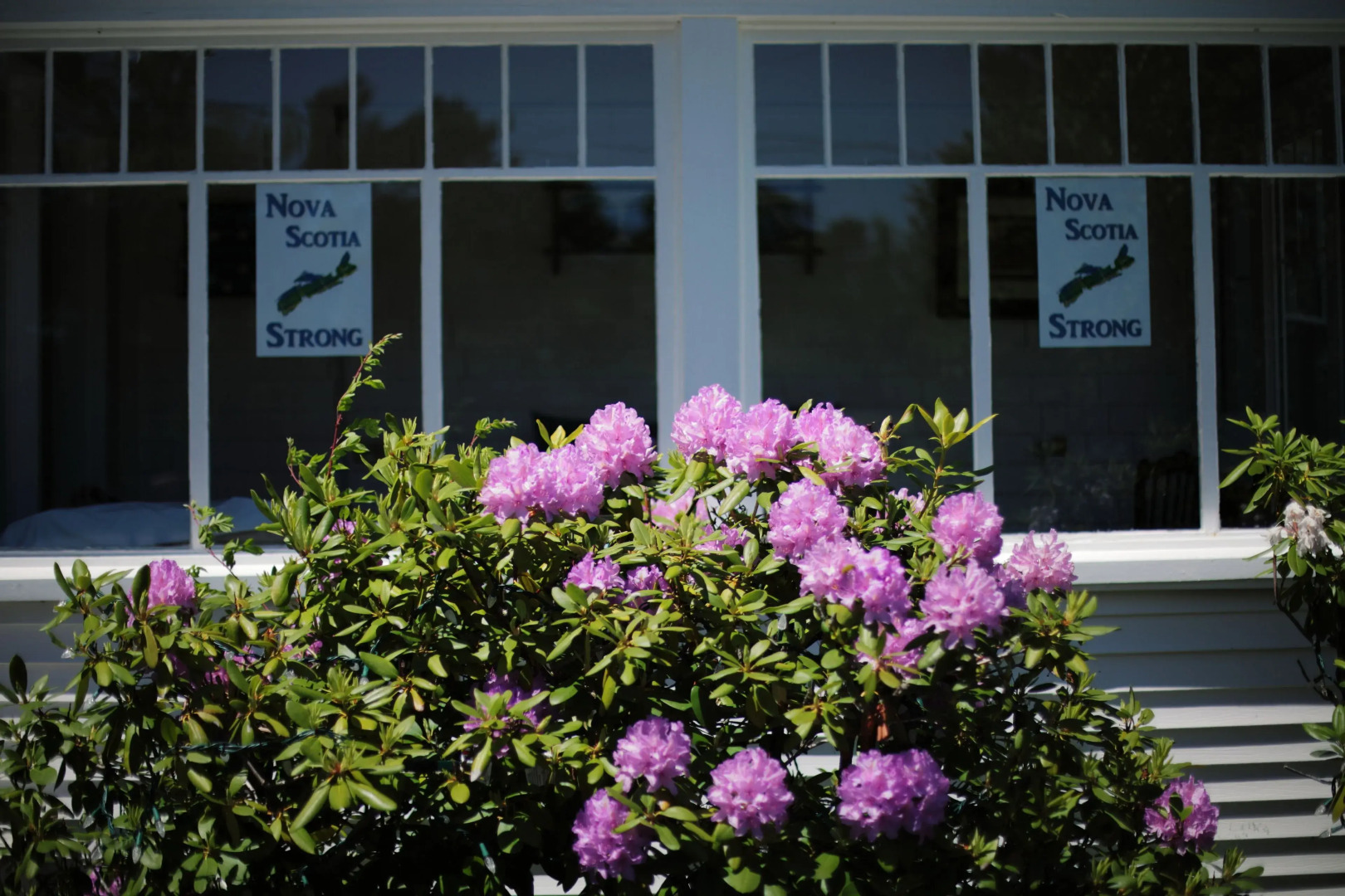 Carleton Inn and Cottages