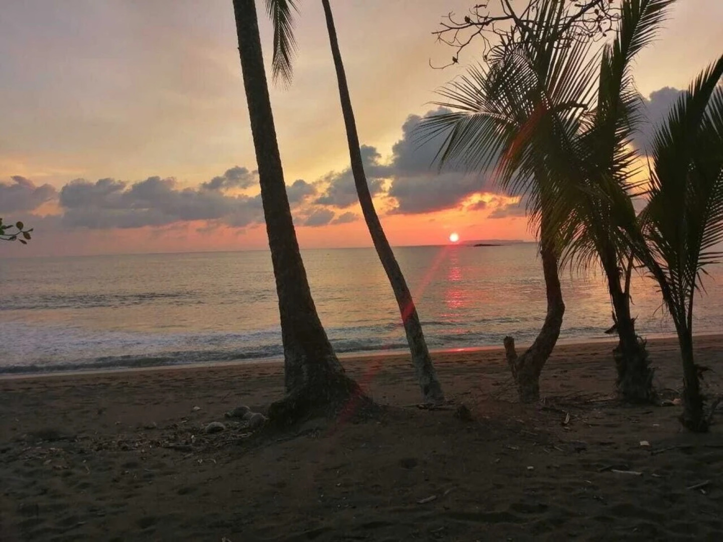 Corcovado Adventures Tent Camp