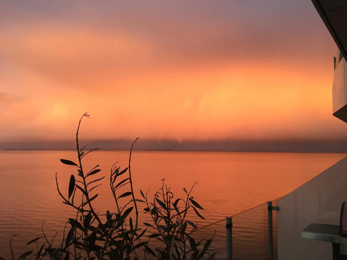 Unique Ocean View Apartment (Aarhus OE, centre)