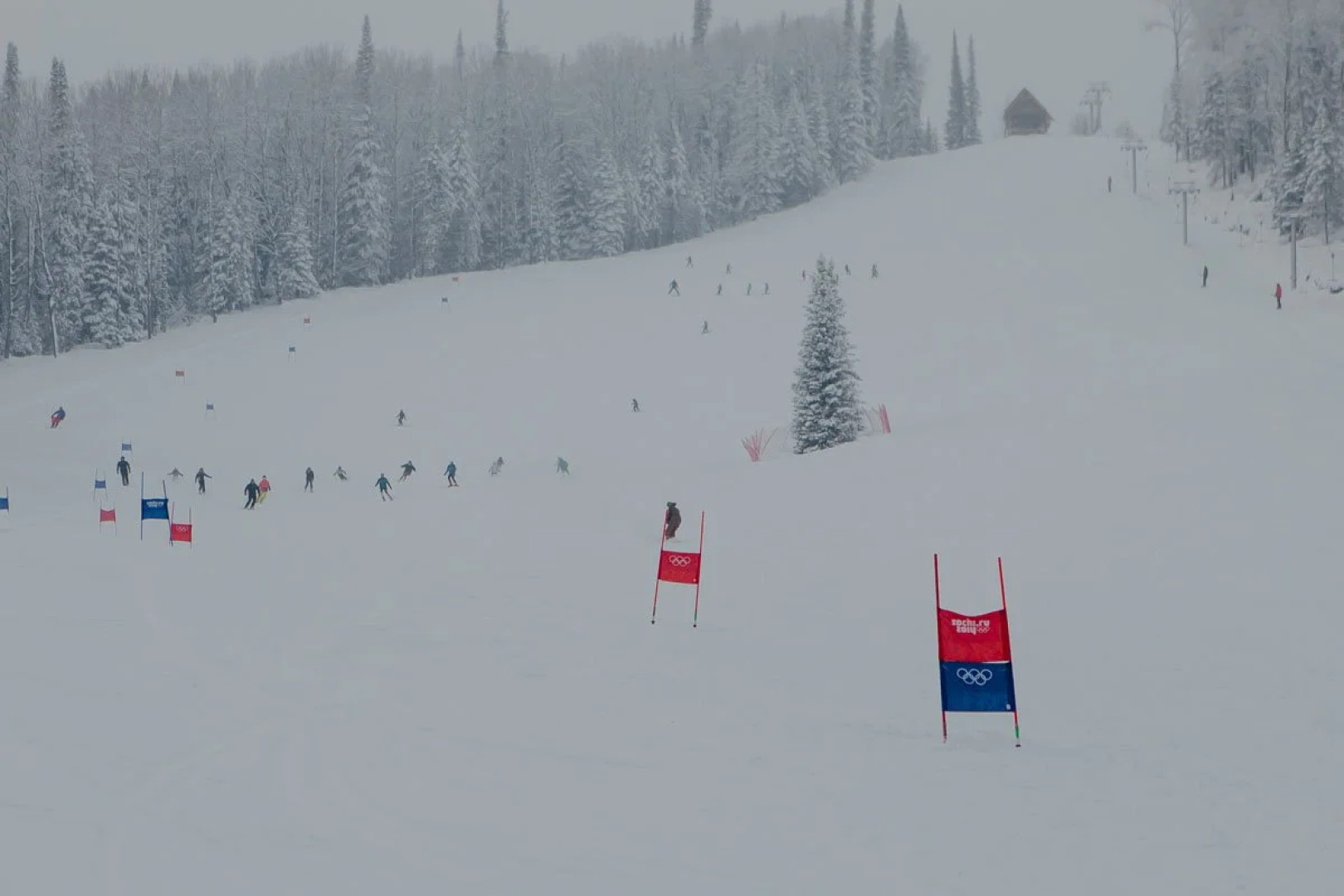 Лесная сказка