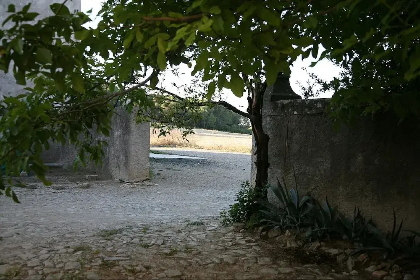 Saint Paul Le Marseillais