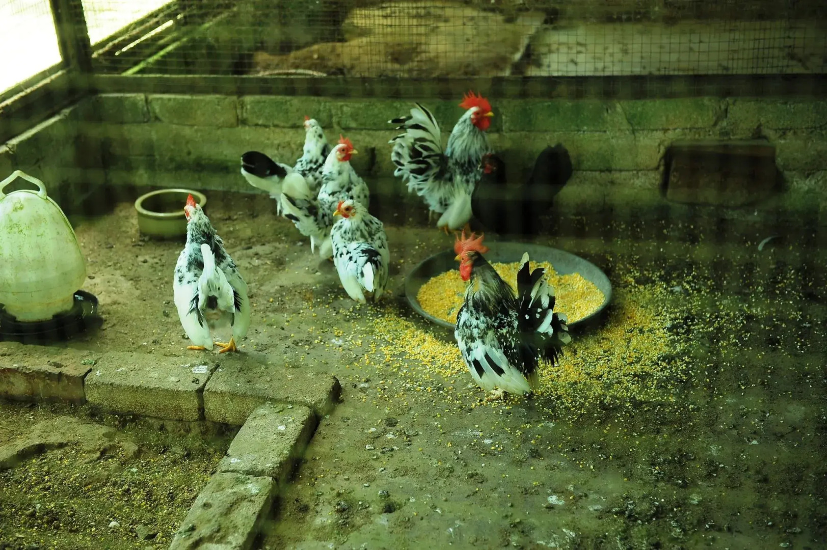 Countryview Recreation Park & Resort