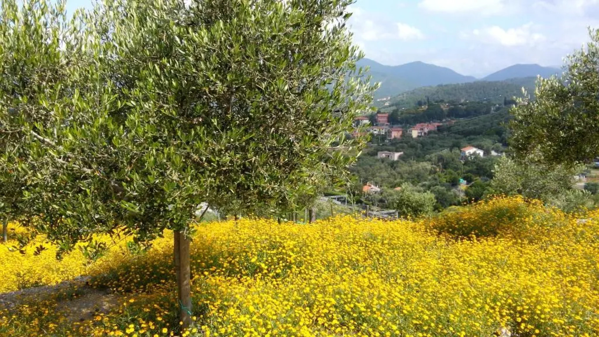 Appartamento Taggiasca a Riva Trigoso