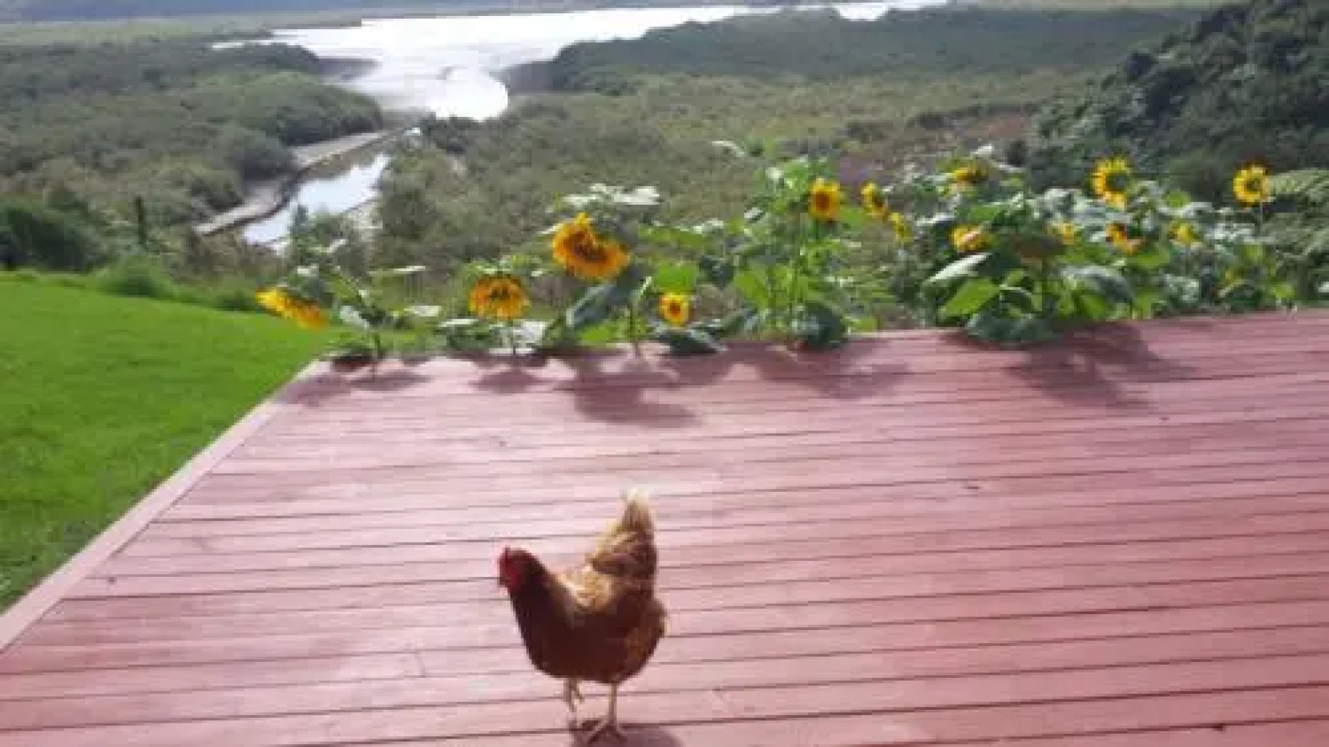 Taranaki (Adults Only)