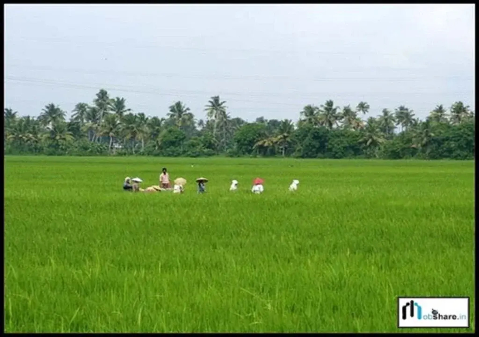 Sandradeepam Holiday Resorts