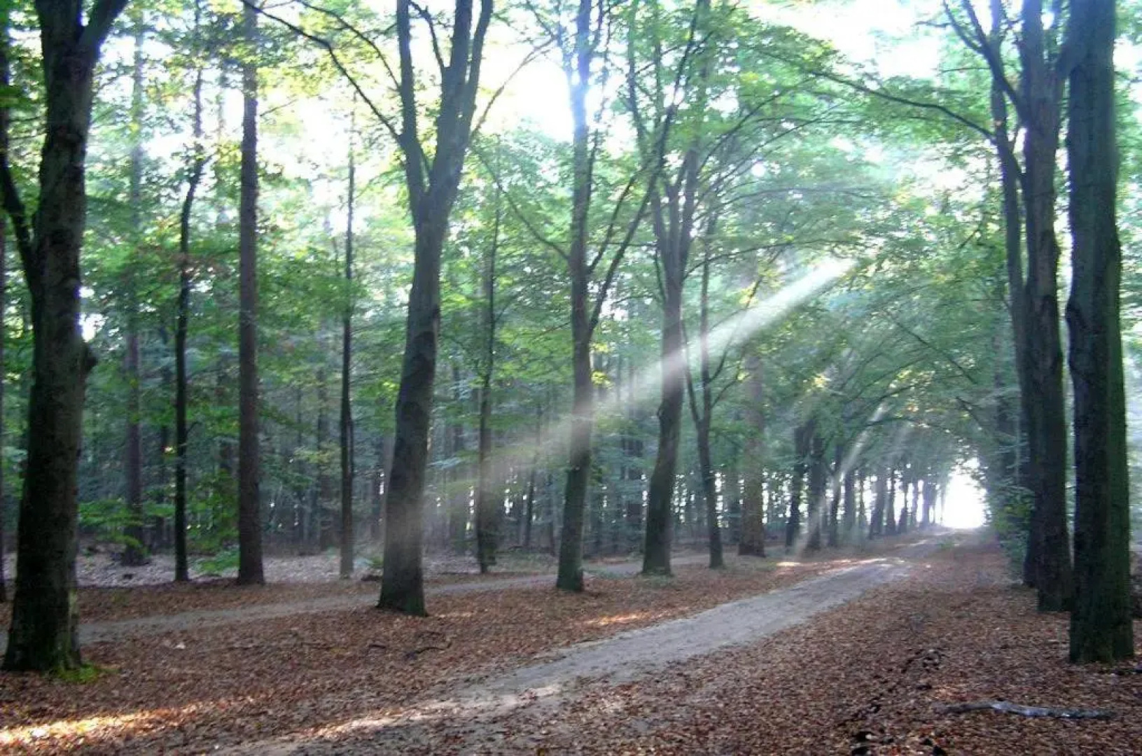 Boerenkiel Vakantiehuisjes