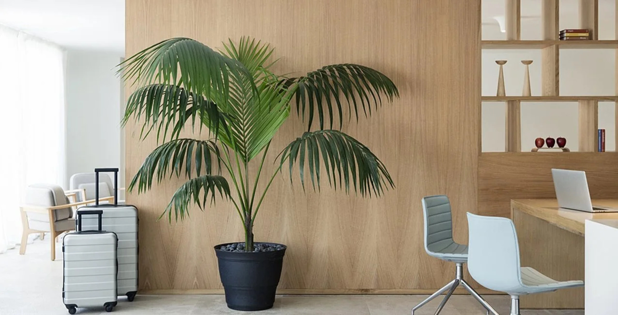 Finest Playa Mujeres by The Excellence Collection - All Inclusive