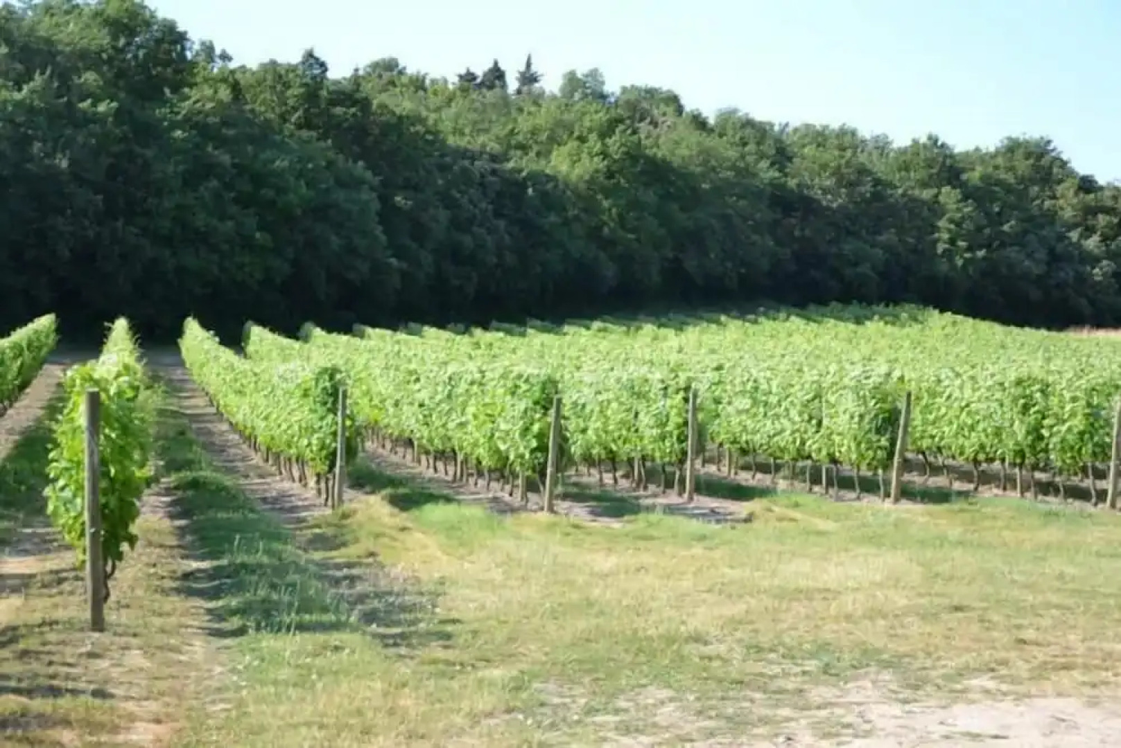 Le Trésor Des Templiers