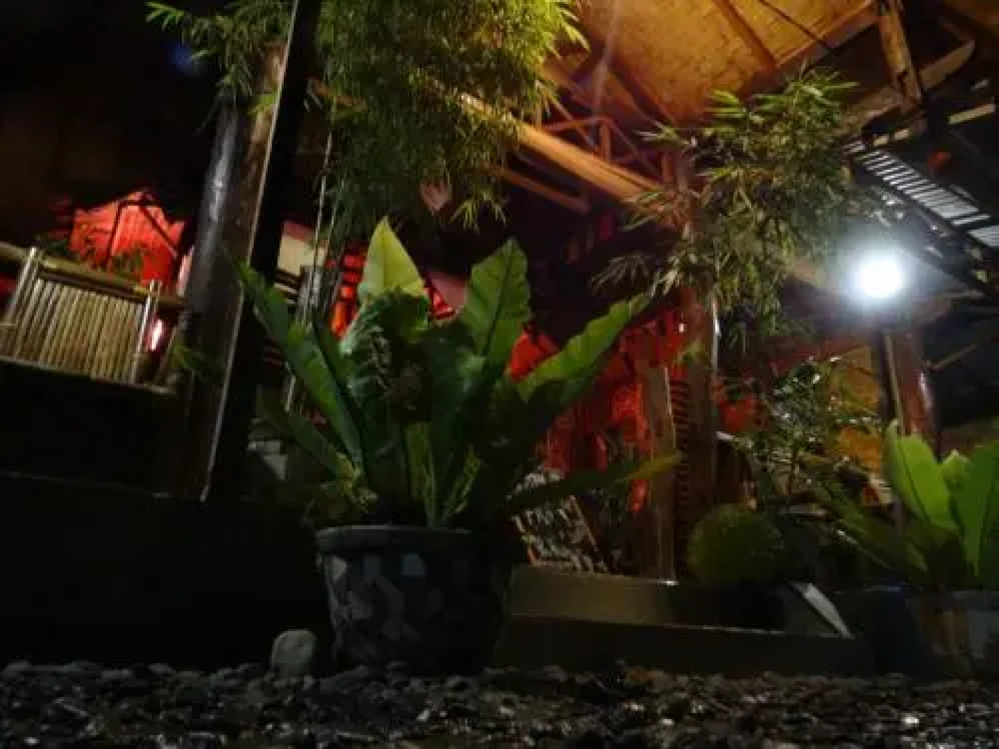 Terimakasih Bar and Guesthouse