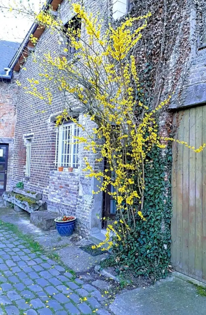 Au Moulin de l'Andelle