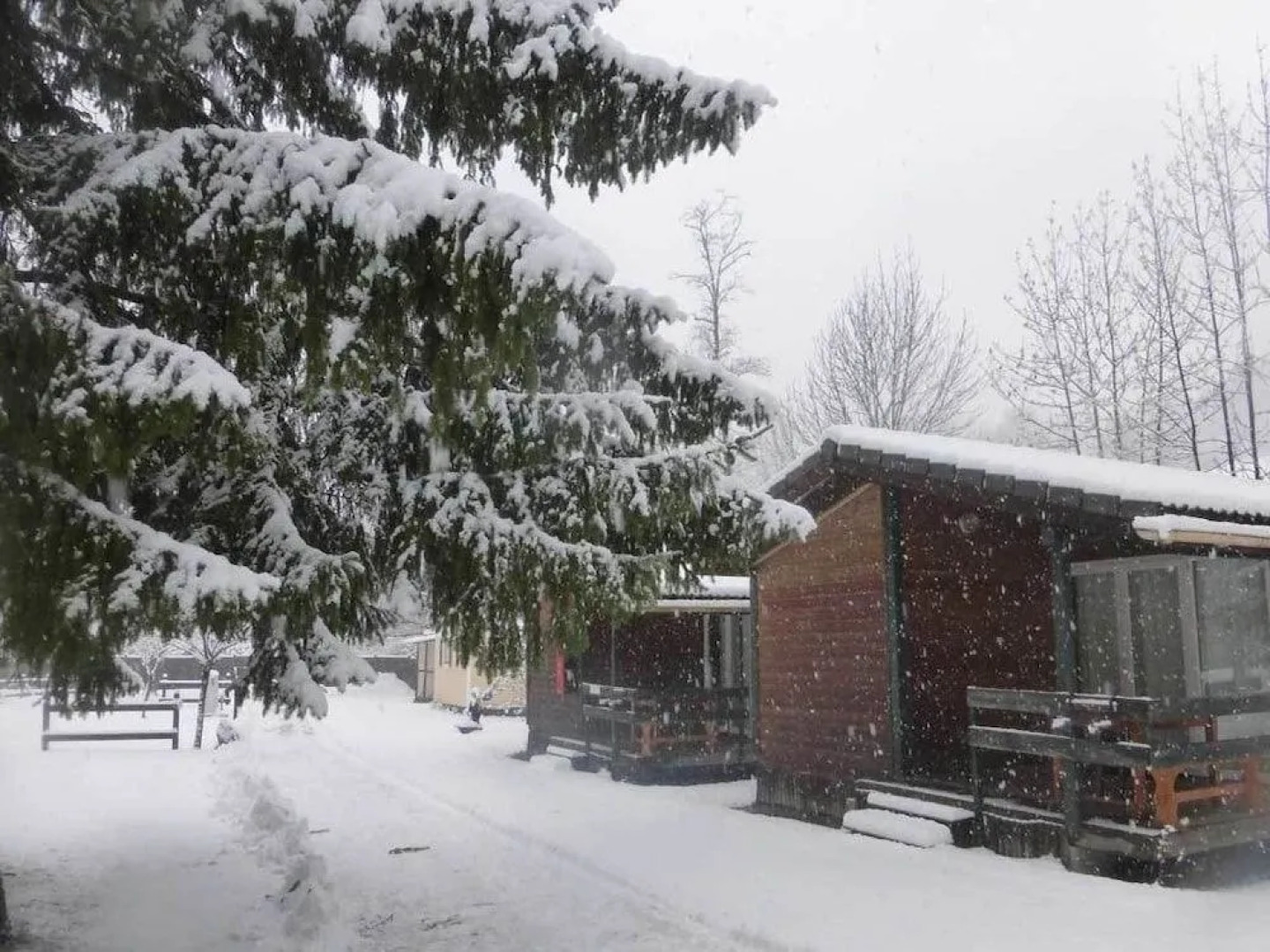 Camping Le Champ Du Moulin