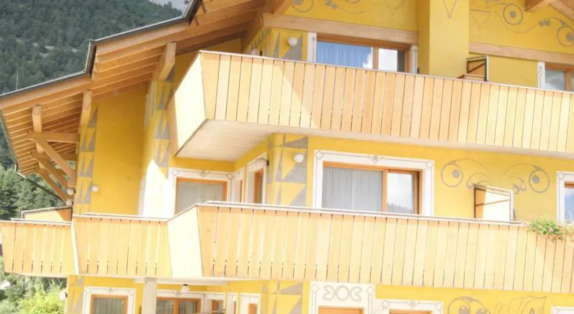 La Vacanza Della Cicala