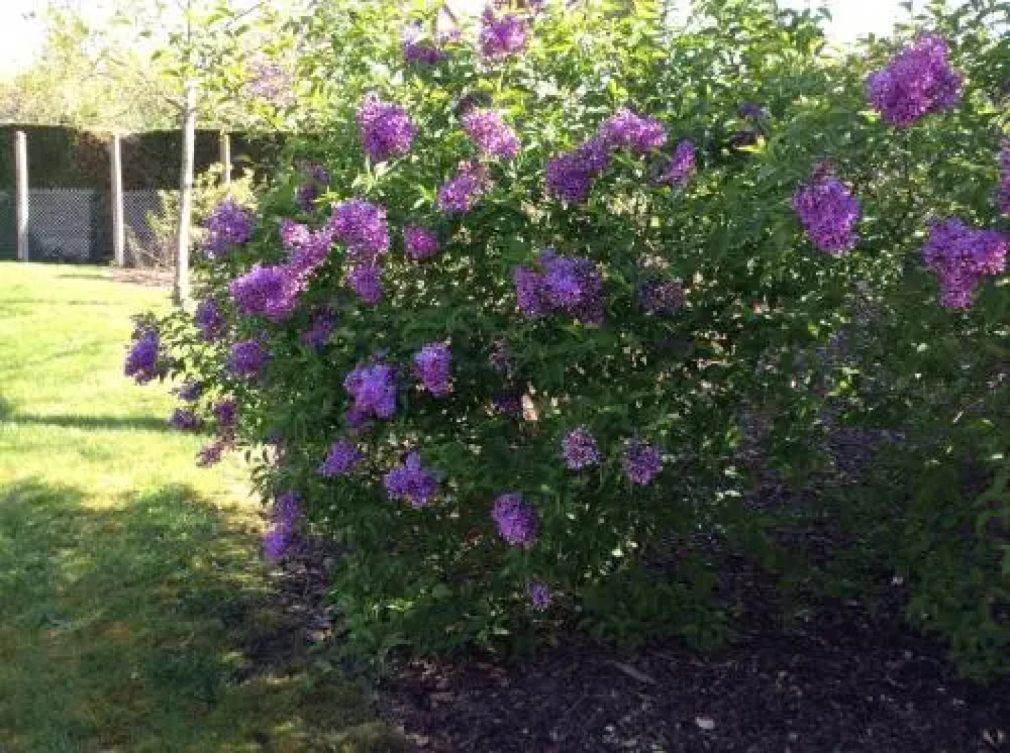 Chambres dhôtes Le Presbytère