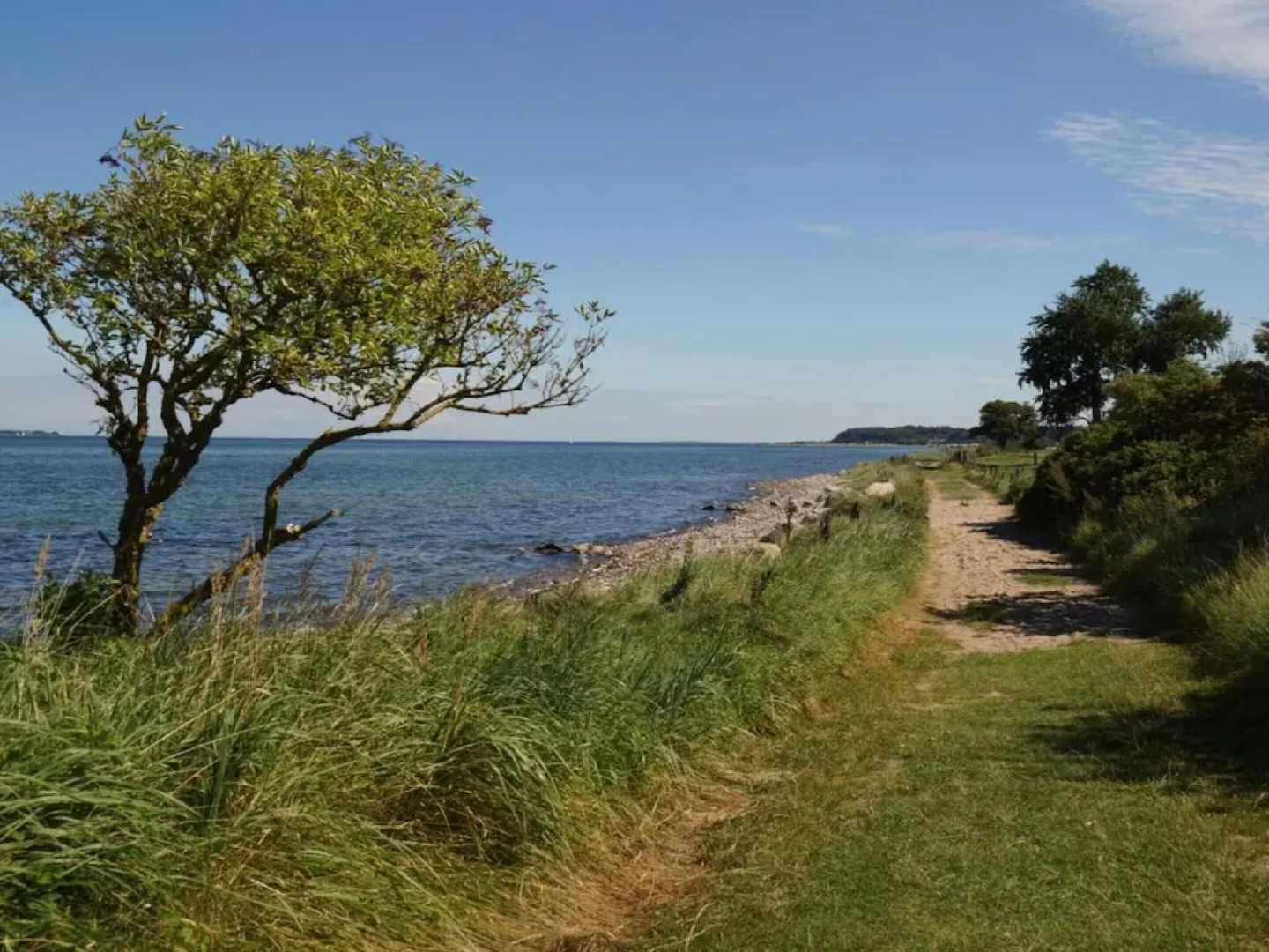 Holiday Apartment Domstag