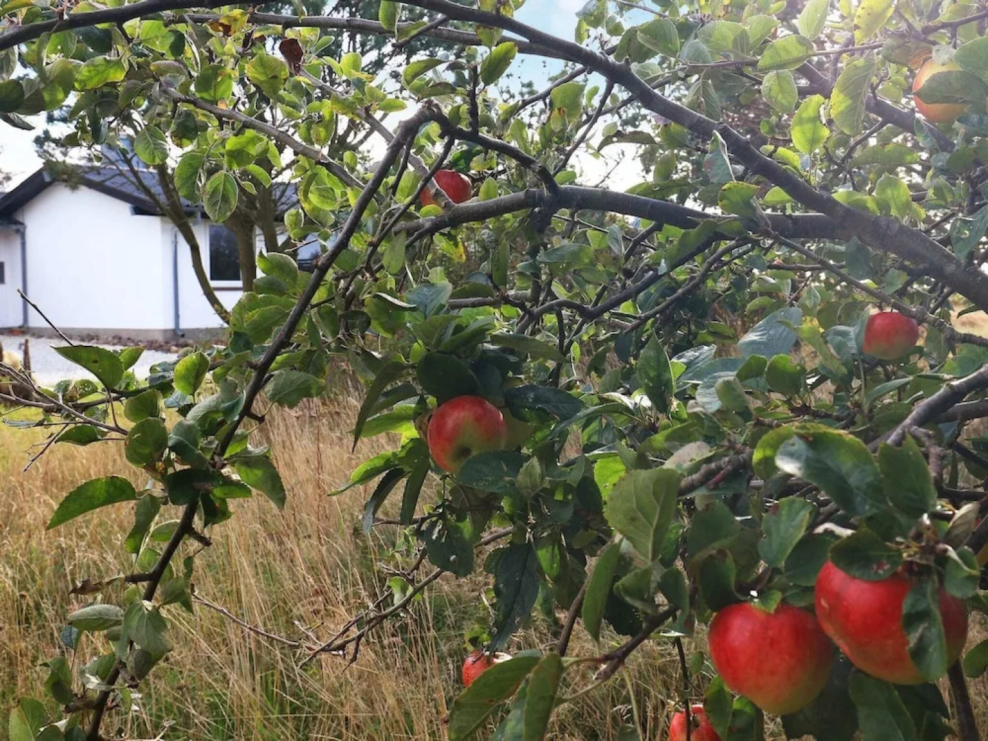 8 Person Holiday Home in Hurup Thy