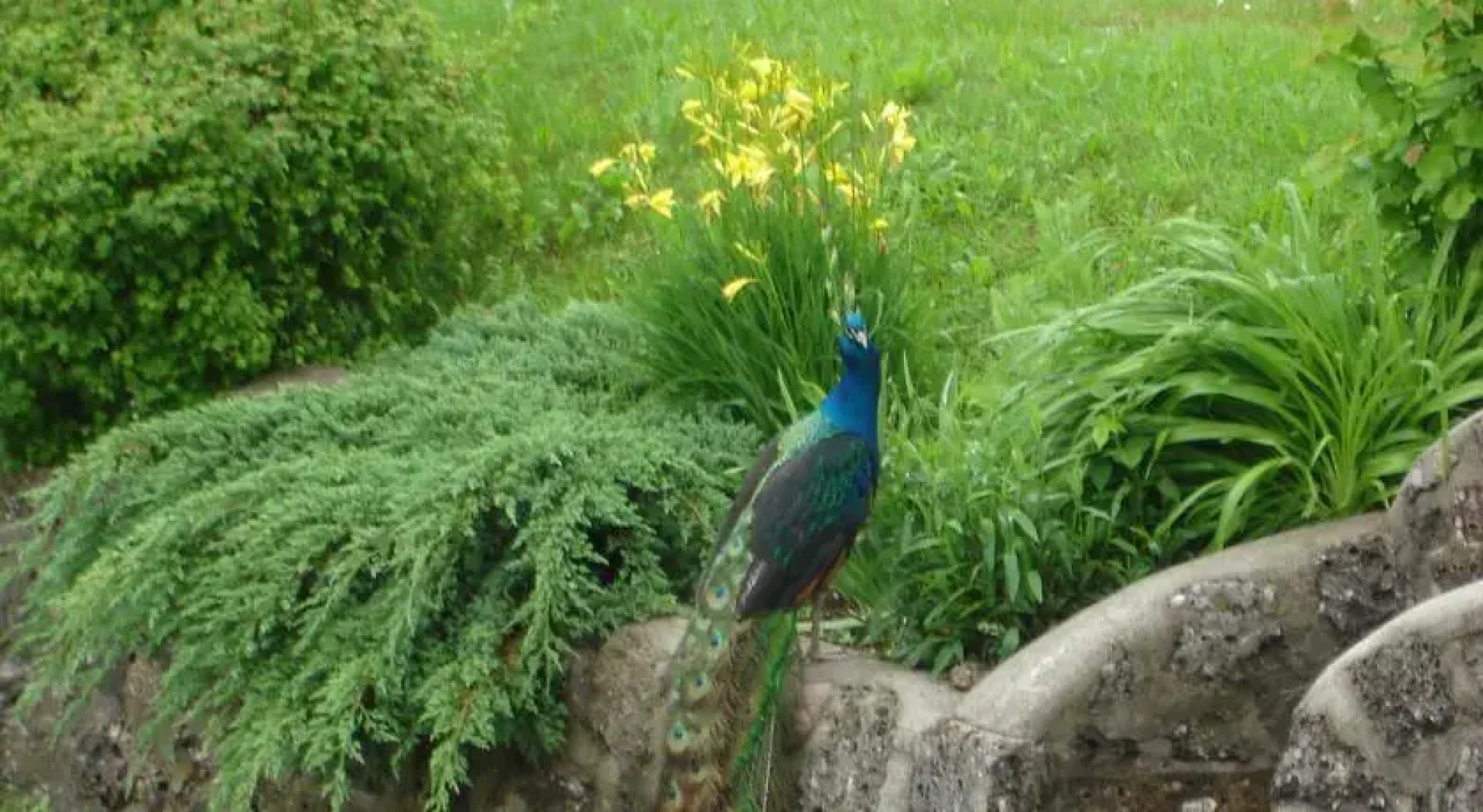 Ferienhaus Schnürmann