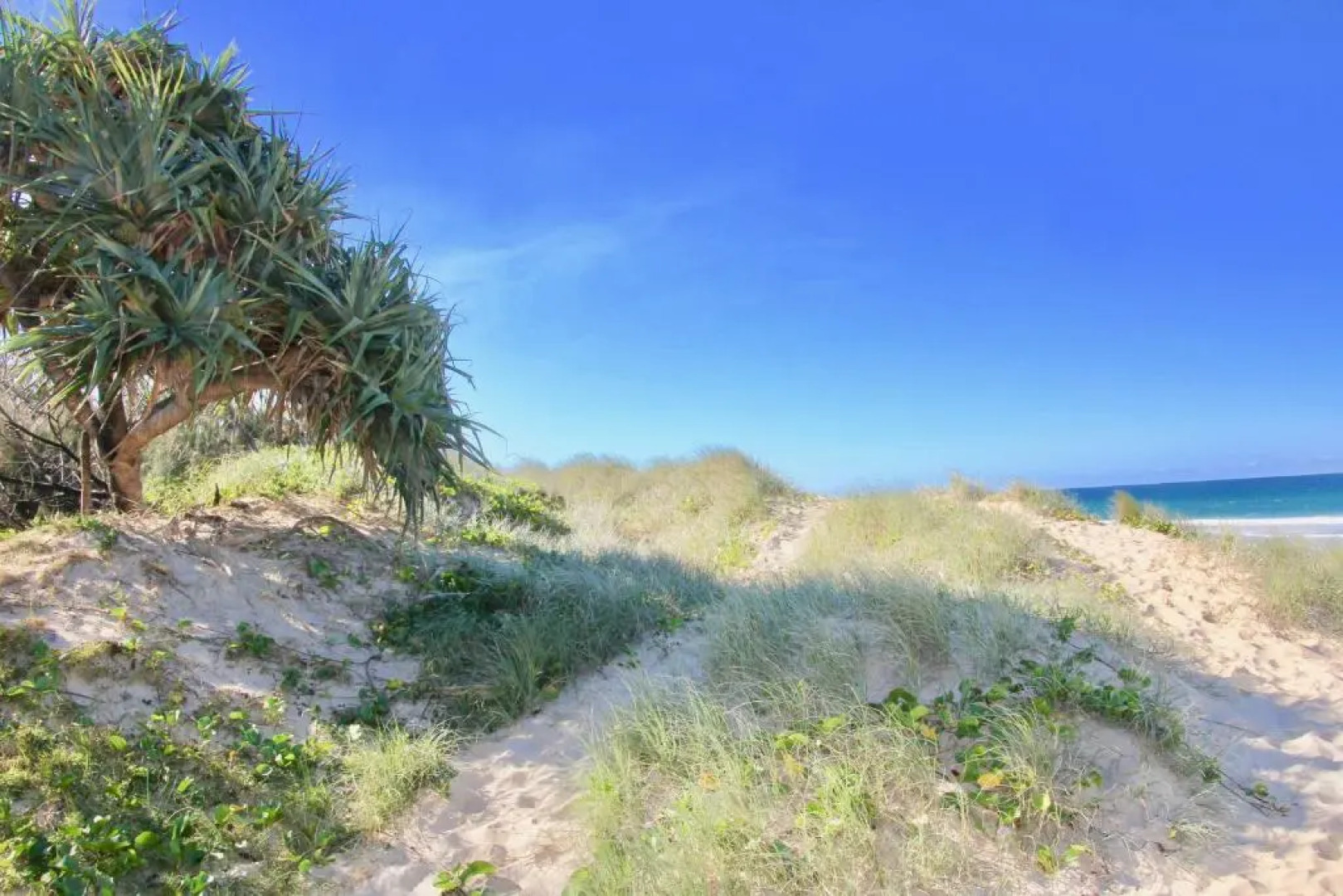 Hideaway Noosa Men Only Beach Resort