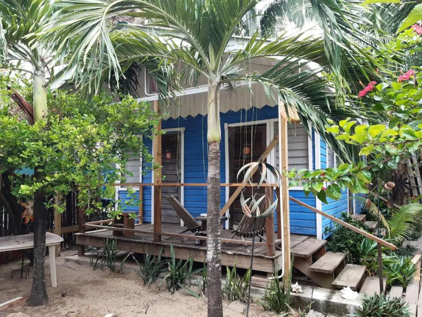The Funky Dodo Backpackers Hostel