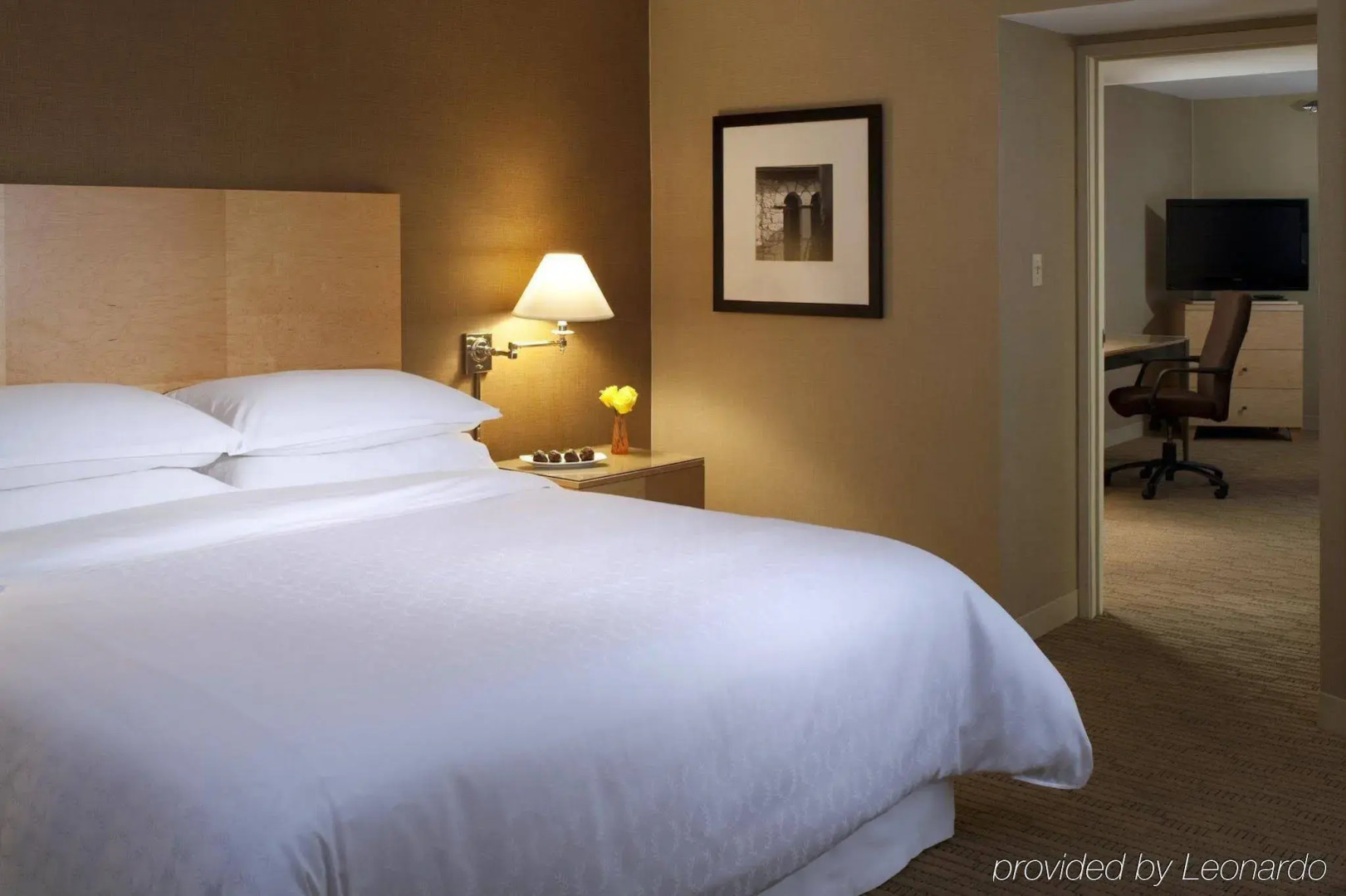 Sheraton Tucson Hotel and Suites