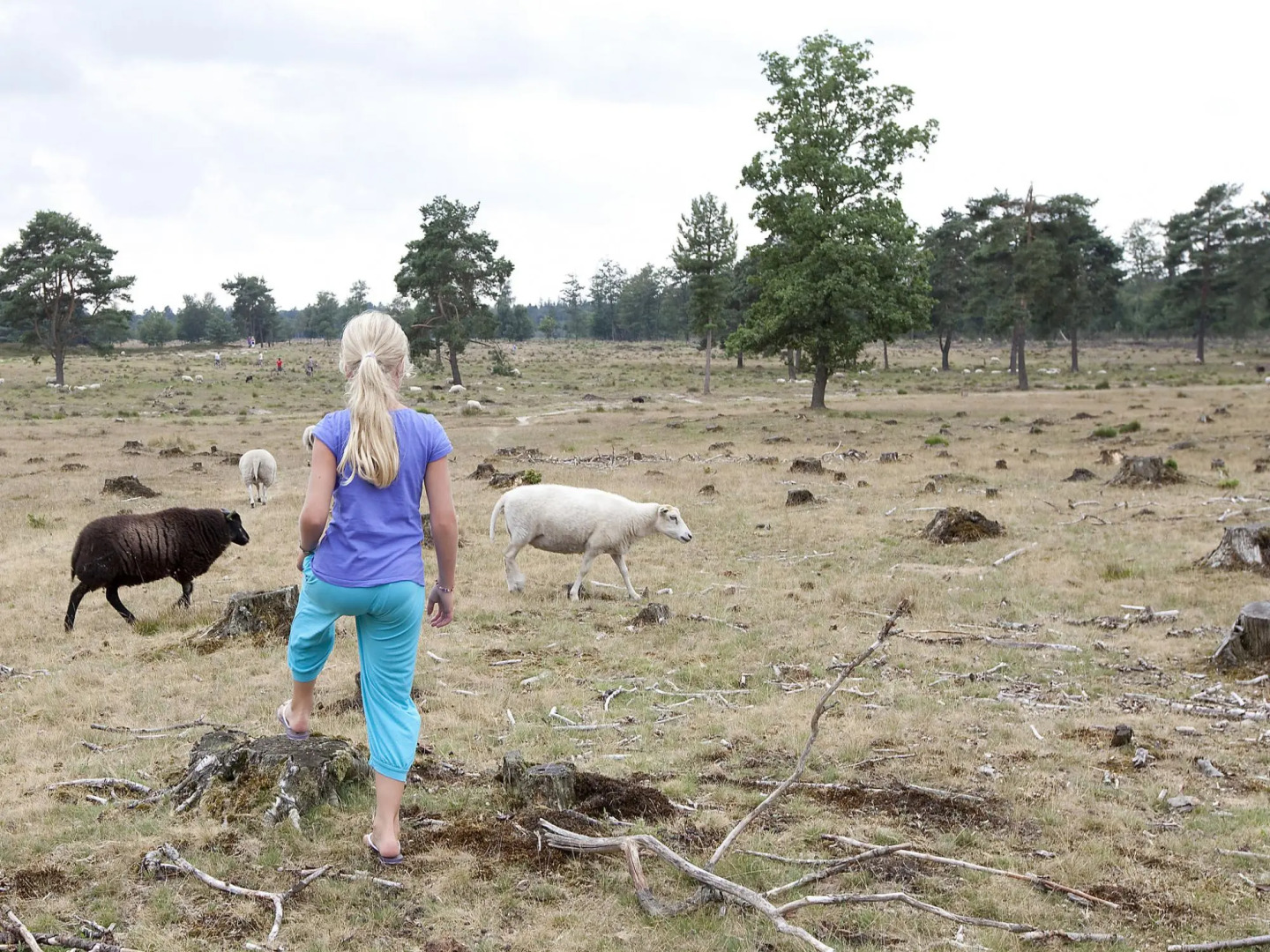 Thatched Villa With 2 Bathrooms Near Appelscha